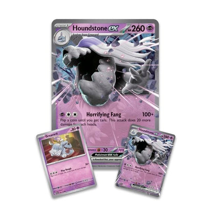 Pokemon : Houndstone ex Box