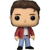 Rocks : New Kids on the Block - Jonathan #315 Funko POP!